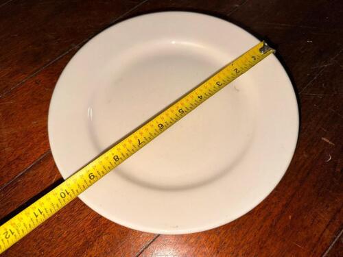 (12) 9 3/4" CHINA PLATES