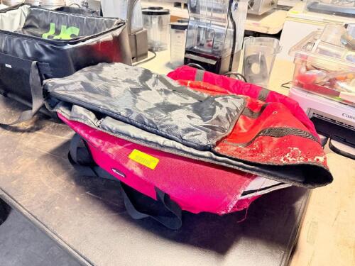 (3) ASSORTED INSULATED DELIVERY BAGS.