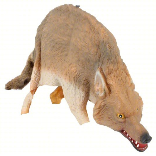 (1) COYOTE DECOY