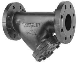 (1) Y-STRAINER FLANGE
