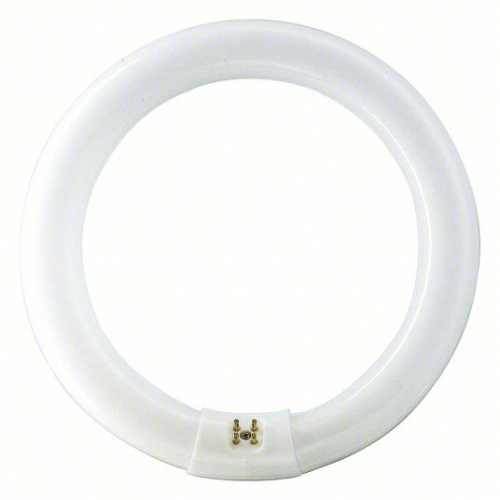 (12) CIRCULAR FLUORESCENT BULBS