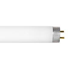 (1) BOX OF (30) BI-PIN LIGHT BULBS