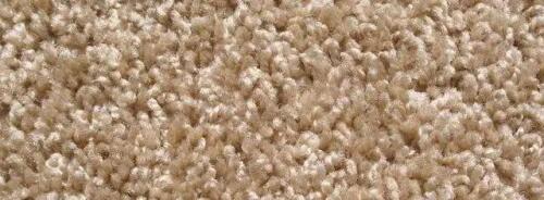 12' ROLL OF BEIGE CARPET WITH LOOP AND CUT PILE TEXTURES,