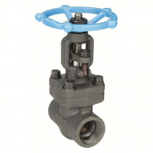 (1) GATE VALVE