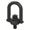 (1) HOIST RING