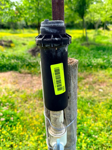 (24) SPRINKLER HEAD ON POSTS.