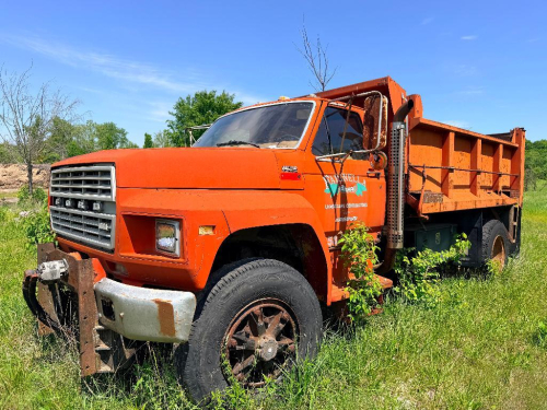 FORD SINGLE AXLE DUMP TRUCK WITH STEEL DUMP BED, FRONT MOUNT HYDRAULIC/PLOW ASSEMBLY, MANUAL SIDE MIRRORS, SURFACE RUST THROUGHOUT BODY AND BED, VEHICLE HAS BEEN SITTING WITH OVERGROWTH PRESENT, INTERIOR CONDITION UNKNOWN