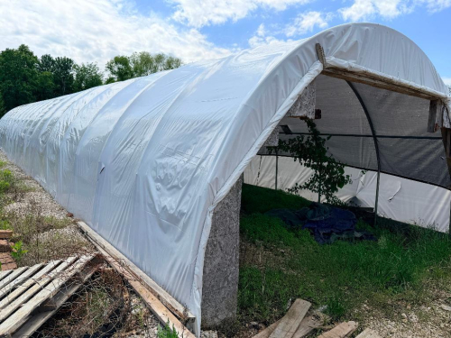 HOOP STYLE METAL GREEN HOUSES WITH PARTIAL PANEL ENCLOSURE AND DOUBLE DOOR END, ARCHED STEEL RIB CONSTRUCTION