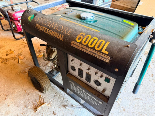 SYCAMORE PROFESSIONAL 6000L PORTABLE GENERATOR