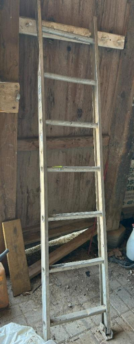 (1) 7 FOOD EXTENSION LADDER