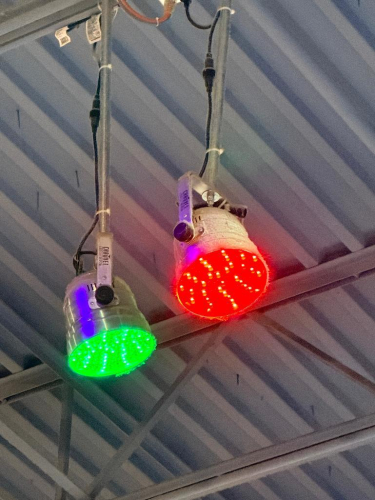 (2) LED CEILING MOUNTED SPOT FIXTURE.