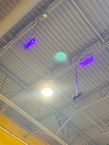 (4) ASSORTED BLACK LIGHT FIXTURES.