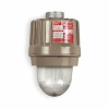 (1) HIGH PRESSURE SODIUM LIGHT FIXTURE
