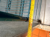 72" X 18" FOUR TIER COATED WIRE SHELF ON CASTERS. - 3