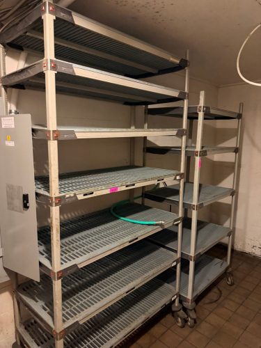 (2) ROLL ABOUT PLASTIC SHELVING UNITS.