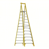 (1) PLATFORM STEPLADDER