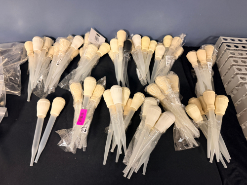 (1) LARGE LOT OF PLASTIC TURKEY BASTERS