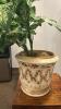 (1) ARTIFICIAL PLANT WITH A DECRETIVE POT - 2