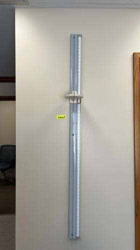 (1) SECA WALL MOUNTED STADIOMETER