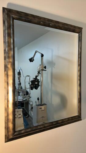 (1) LARGE MIRROR
