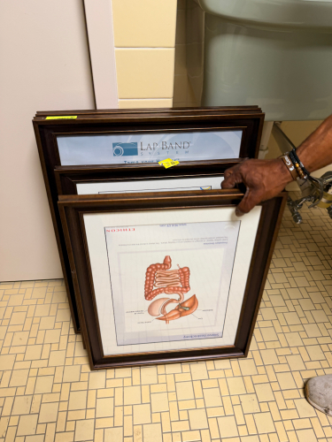 (4) FRAMED POSTERS ( MEDICAL )