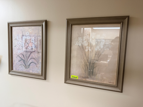 (2) FRAMED FLORAL PRINTS.