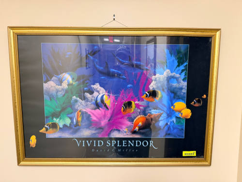 VIVID SPLENDOR FRAMED POSTER.