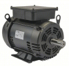 (1) MOTOR