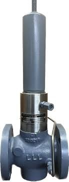 (1) BACK PRESSURE VALVE