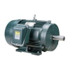 (1) MOTOR