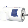 (1) WASHDOWN MOTOR