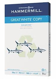 (10) PACKS OF (500) SHEETS OF PRINTER PAPER