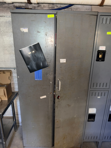 TWO DOOR METAL STORAGE CABINET W/ CONTENTS - PAINTS AND SPRAYS.