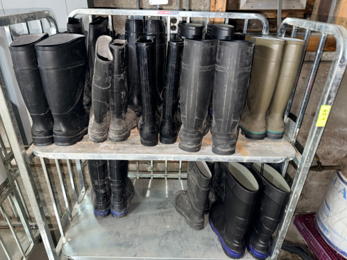 (12) PAIRS OF RUBBER OVER BOOTS.