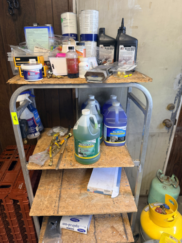SHELF AND CONTENTS - ASSORTED CLEANERS AND OILS