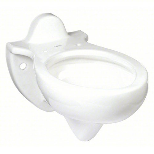 (1) TOILET BOWL