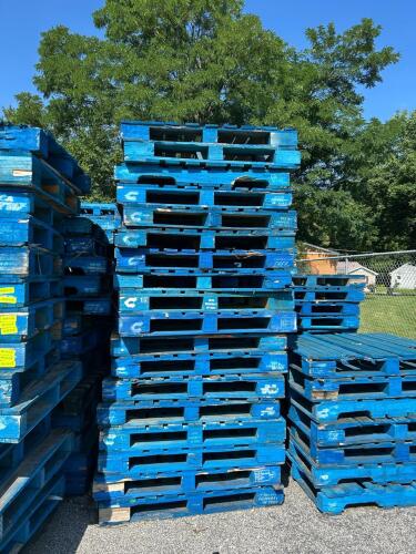 (25) BLUE PALLETS