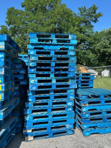 (25) BLUE PALLETS
