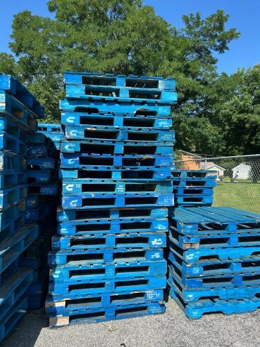 (25) BLUE PALLETS