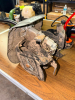 2-CYCLE GAS POWER HEAD WITH CULTIVATOR ATTACHMENT - 3