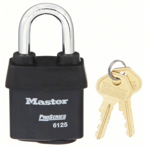 (6) PADLOCK