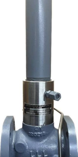 (1) BACK PRESSURE VALVE