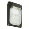 (1) WALL PACK LIGHT