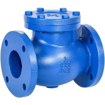 (1) CHECK VALVE