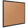 (1) CORK BOARD