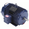 (1) COOLING TOWER MOTOR