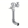(1) MANUAL FLUSH VALVE