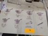 (1) COOKWARE SET - 3