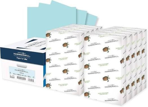 (10) PACKS OF PRINTER PAPER