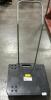 (1) PLASTIC BLACK HAND CART